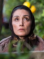 Poster der Orange Days