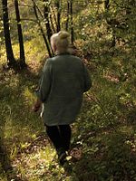 Poster der I Villani