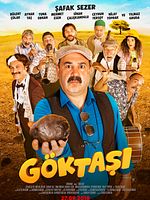 Poster der Göktaşı