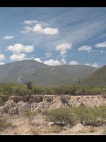 Poster der Tierra mía