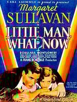Poster der Little man what now?