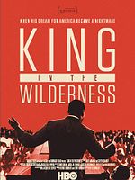 Poster der King in the Wilderness