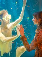 Poster der Der Froschkönig