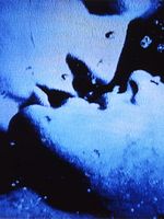 Poster der Self-Portrait in 23 Rounds: a Chapter in David Wojnarowicz's Life, 1989–1991