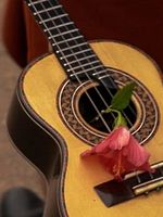 Poster der Corpo Quilombo