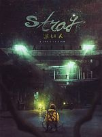Poster der Stray
