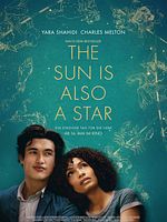Poster der The Sun Is Also A Star