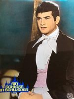 Poster der Ein Schloß in Schweden