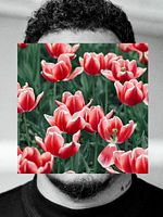 Poster der Amar é Para os Fortes