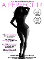 Poster der A Perfect 14