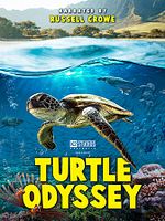 Poster der Turtle Odyssey