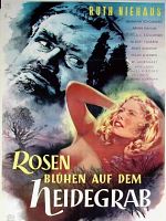 Poster der Rosen blühen auf dem Heidegrab