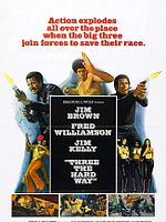 Poster der Drei eiskalte Profis