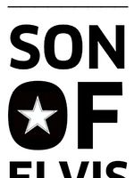 Poster der Der Sohn vom Elvis