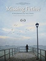 Poster der Missing Fetine