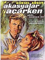 Poster der Akasyalar Açarken