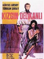 Poster der Kızgın Delikanlı
