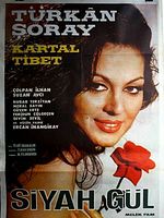 Poster der The Black Rose