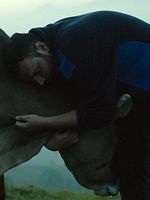 Poster der Lessons Of Love