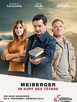 Bild von Meiberger - Im Kopf des Täters