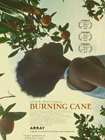 Poster der Burning Cane