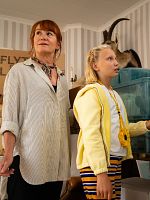 Poster der Inga Lindström: Familienfest in Sommerby