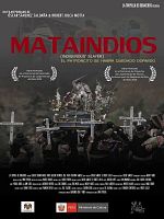 Poster der Mataindios
