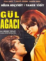 Poster der Gül Ağacı