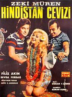 Poster der Hindistan Cevizi