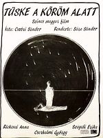 Poster der Splitter unterm Nagel