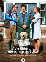 Poster der Viele Kühe und ein schwarzes Schaf