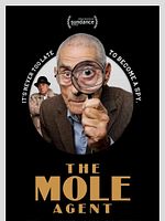 Poster der Der Maulwurf – Ein Detektiv im Altersheim