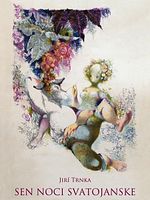 Poster der Sen Noci Svatojánské