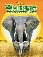 Poster der Whispers: Ein Elefantenmärchen