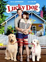 Poster der Lucky Dog