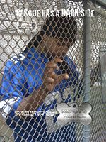 Poster der Mercy's Kennel