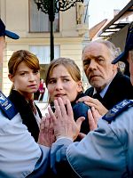 Poster der Der Zürich-Krimi: Borchert und der Tote im See