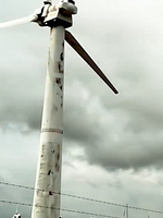 Poster der Planet Of The Humans