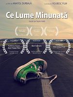 Poster der Ce lume minunata
