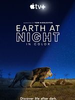 Bild von Earth At Night In Color