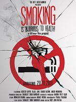 Poster der Der Absturz