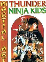 Poster der Karate Kinder - Die Ninja Kids voll in Action