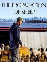 Poster der Die Vermehrung von Schafen