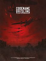 Poster der Codename Brisling 2: Plauen im Bombenkrieg