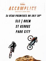 Poster der Accomplice