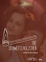 Poster der Die Schwefelhölzchen
