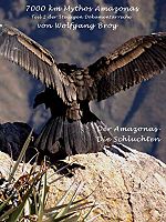Poster der Abenteuer Amazonas - Die Schluchten