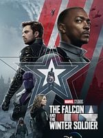 The Falcon And The Winter Soldier