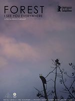 Poster der Forest - I See You Everywhere