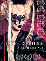 Poster der IndestruXtible
